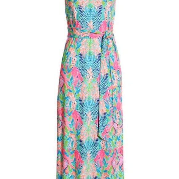 NWT Lilly Pulitzer Monterrey Maxi Dress - Small - Picture 4 of 13